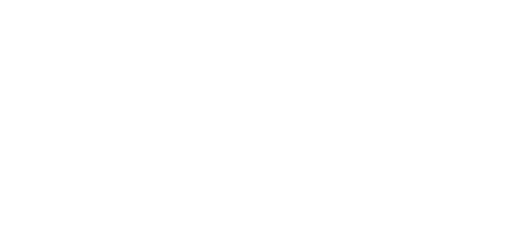 Logo IADYS
